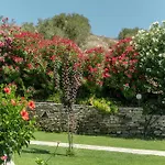 Palatiana Agriturismo-philoxenia Apartment