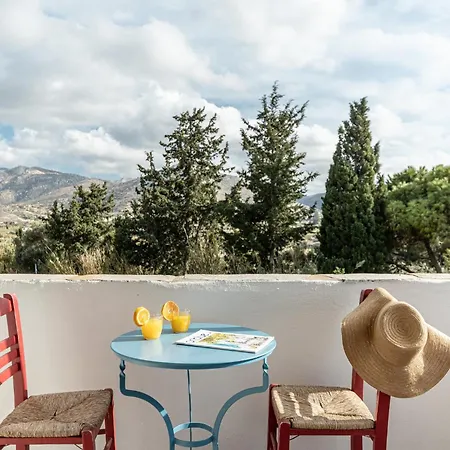 公寓 Palatiana Agriturismo-philoxenia Retreat 加里尼