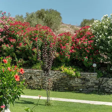 Palatiana Agriturismo-philoxenia Retreat 公寓
